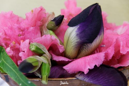 www.jb-photos-55.fr