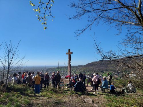 WhatsApp Image 2026-04-07 at 11.59.04